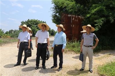 趙伯廷董事長一行前往田陽縣進(jìn)行項(xiàng)目調(diào)研