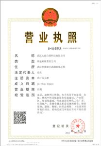 武漢大都白領(lǐng)科技有限公司簡介