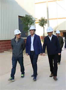 【項目調研】趙伯廷到中泰產業園國際果品加工基地調研指導