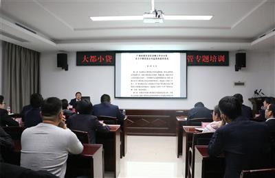 大都小貸公司組織開展行業規范專題培訓