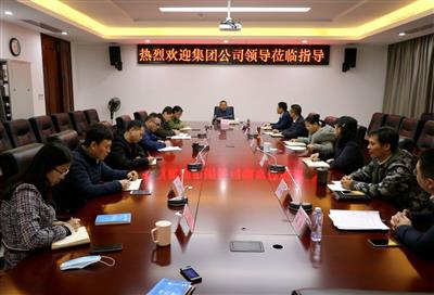 汪啟來到公司調研指導