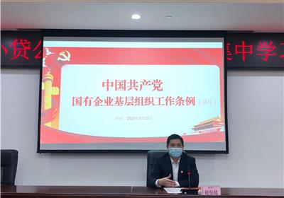 大都小貸公司黨支部開展2020年第一次集中學習會