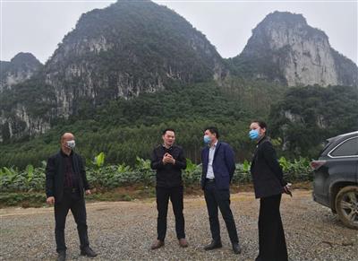 趙伯廷率隊考察武鳴縣石灰巖礦項目