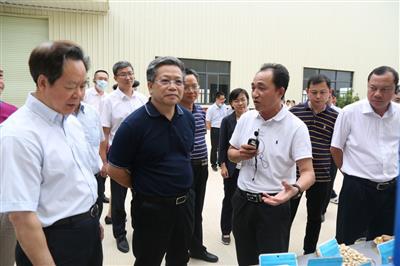 彭曉春到中泰產業園國際果品加工基地考察調研