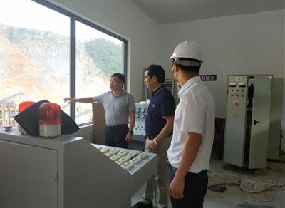 陳白宇到平果隆錦公司調研指導