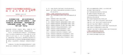 公司團支部喜獲2019年南寧市“五四紅旗團支部”稱號