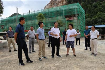 羅成到平果隆錦公司開展礦產資源排查整治調研