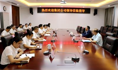 汪啟來到公司調研指導