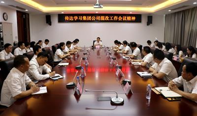 公司傳達學習集團公司混合所有制改革相關會議精神