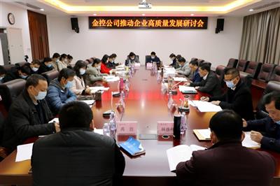公司召開“學習貫徹十九屆五中全會精神，推動公司實現高質量發展”研討會