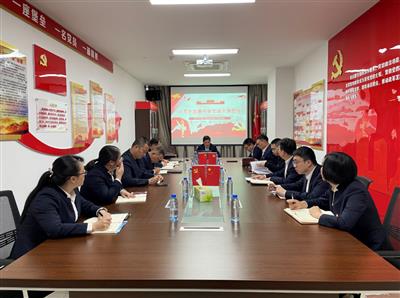大都小貸公司黨支部開展黨史學習教育專題黨課