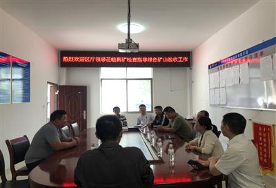 自治區(qū)自然資源廳到隆錦公司檢查指導工作