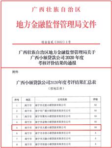大都小貸公司獲評2020年度全區 “AA級”資質小額貸款公司