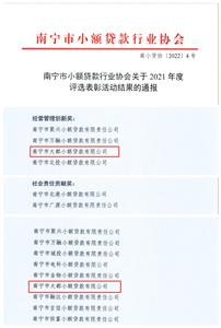 大都小貸公司獲南寧市小貸協會表彰