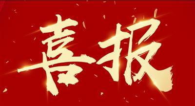大都小貸公司黨支部獲評集團黨委第二批“五星級黨支部”