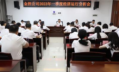 公司召開一季度經濟運行分析會議