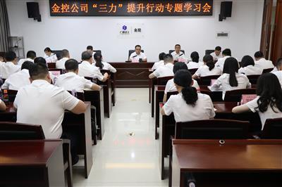 公司召開《廣西建工集團管理力控制力執行力提升行動實施意見》專題學習會