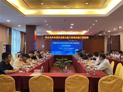武宣進港大道項目順利通過竣工預驗收