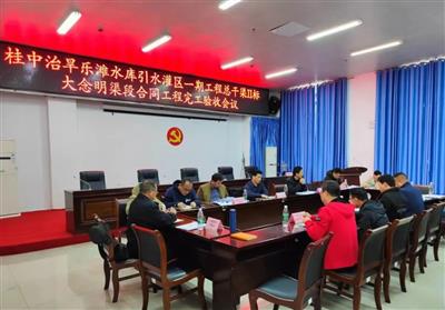 海河公司桂中治旱總干渠II標(biāo)段大念明渠段順利通過合同工程完工驗收